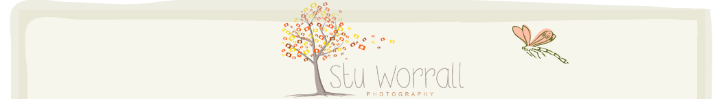 Stu Worrall Photography – Wedding Photographer Flintshire, Cheshire, Wirral, North Wales, Chester, Merseyside logo